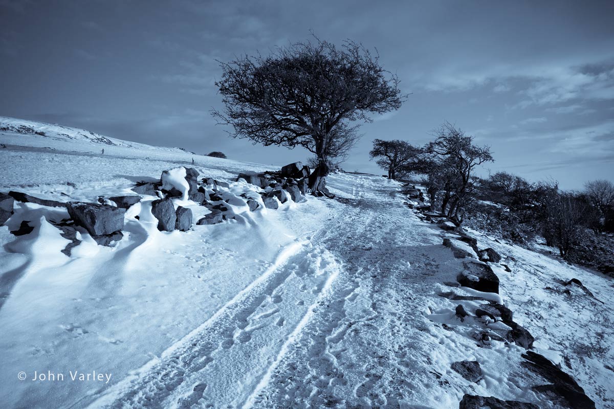 snowy_path_1200_8953.jpg