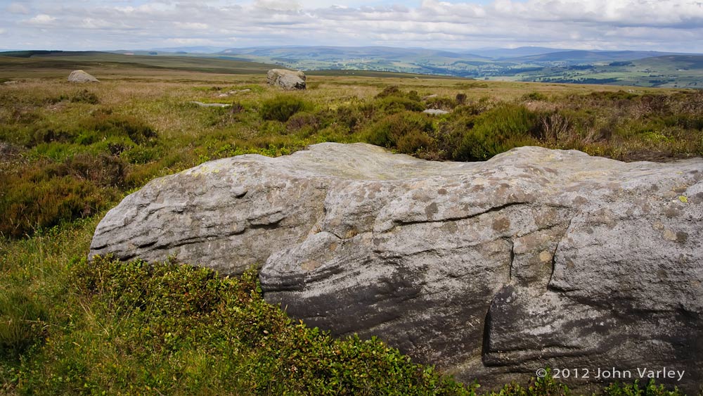 rock_croc_1000_1633.jpg