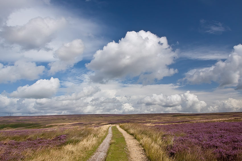 bingleymoor2_850_3809.jpg